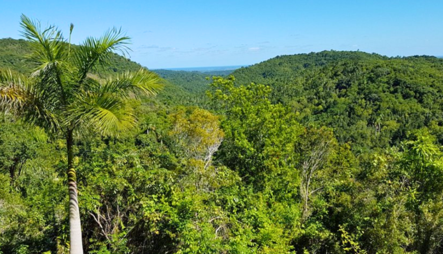 Secretos de la Sierra del Rosario: Primera Reserva de la Biosfera Cubana