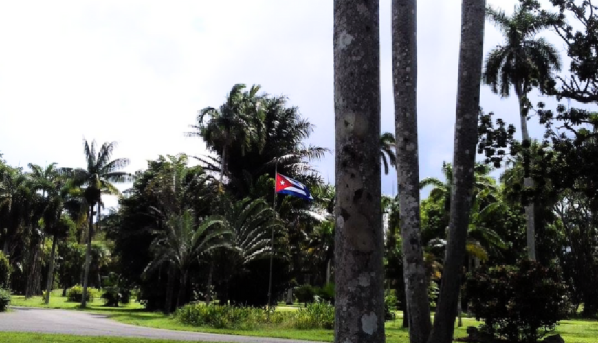 Jardín Botánico Nacional de Cuba: Un Paraíso para los Ecologistas