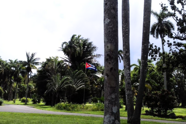 Jardín Botánico Nacional de Cuba: Un Paraíso para los Ecologistas